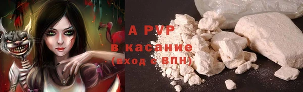 трава Абаза