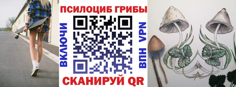 Псилоцибиновые грибы ЛСД  где найти наркотики  Моршанск 